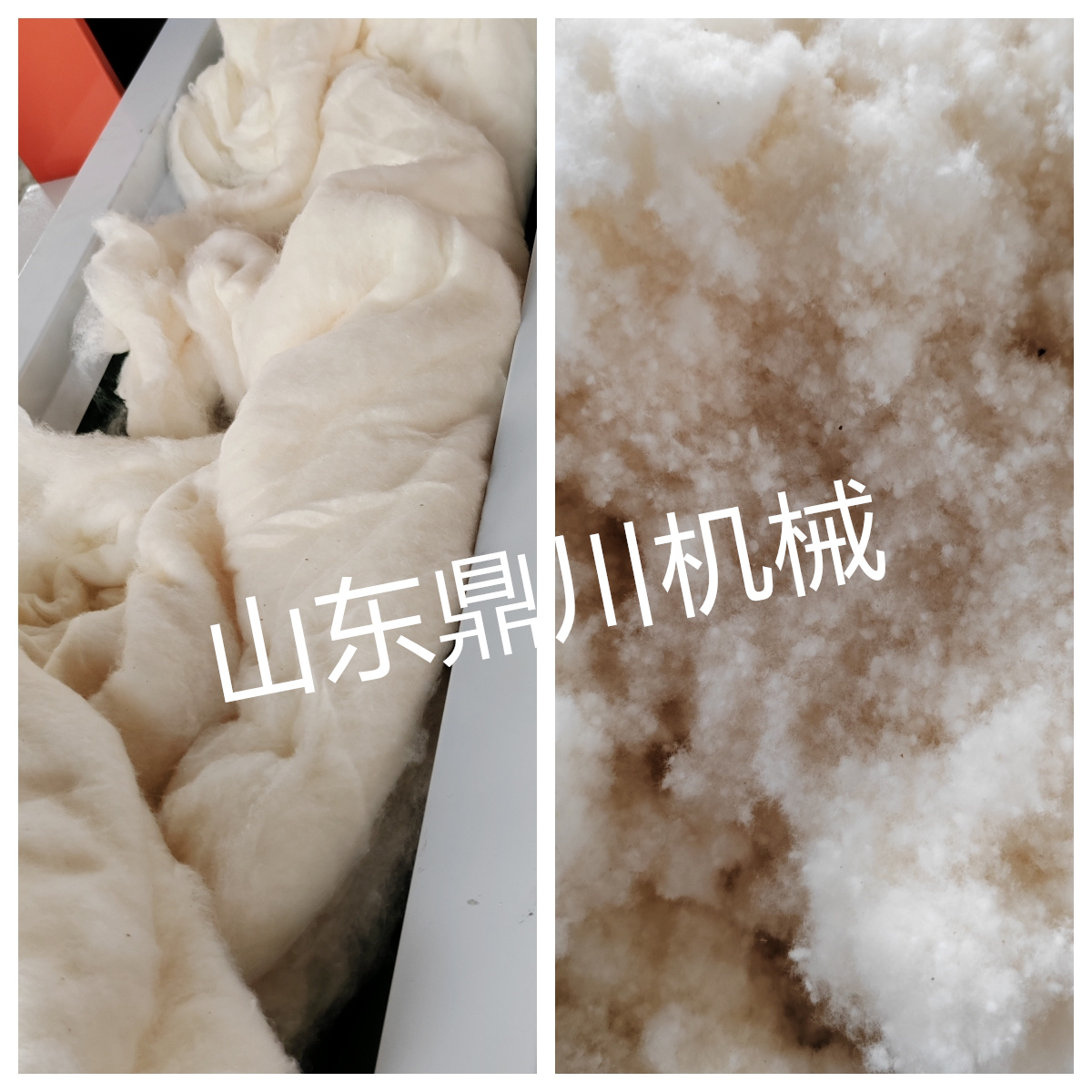 大豆纤维被剪切效果