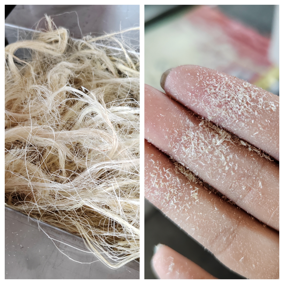 麻纤维剪切效果