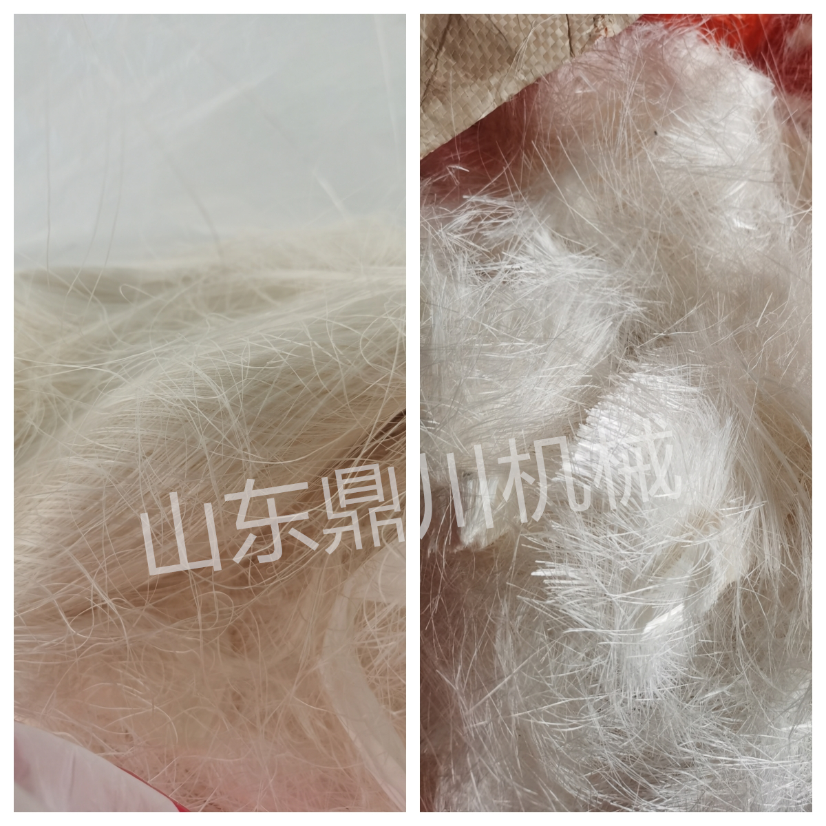 棉纤维切段效果