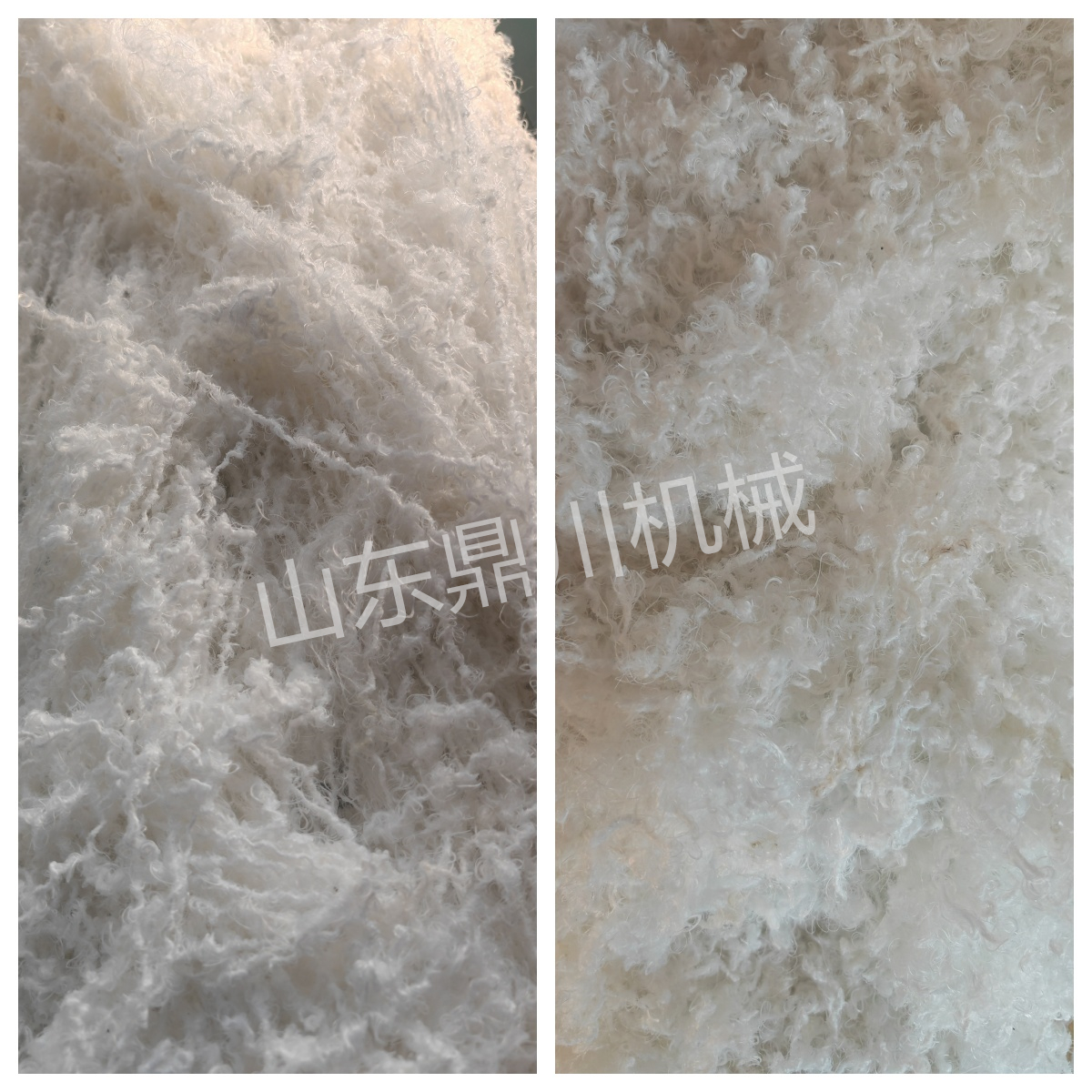 化纤废丝短切效果