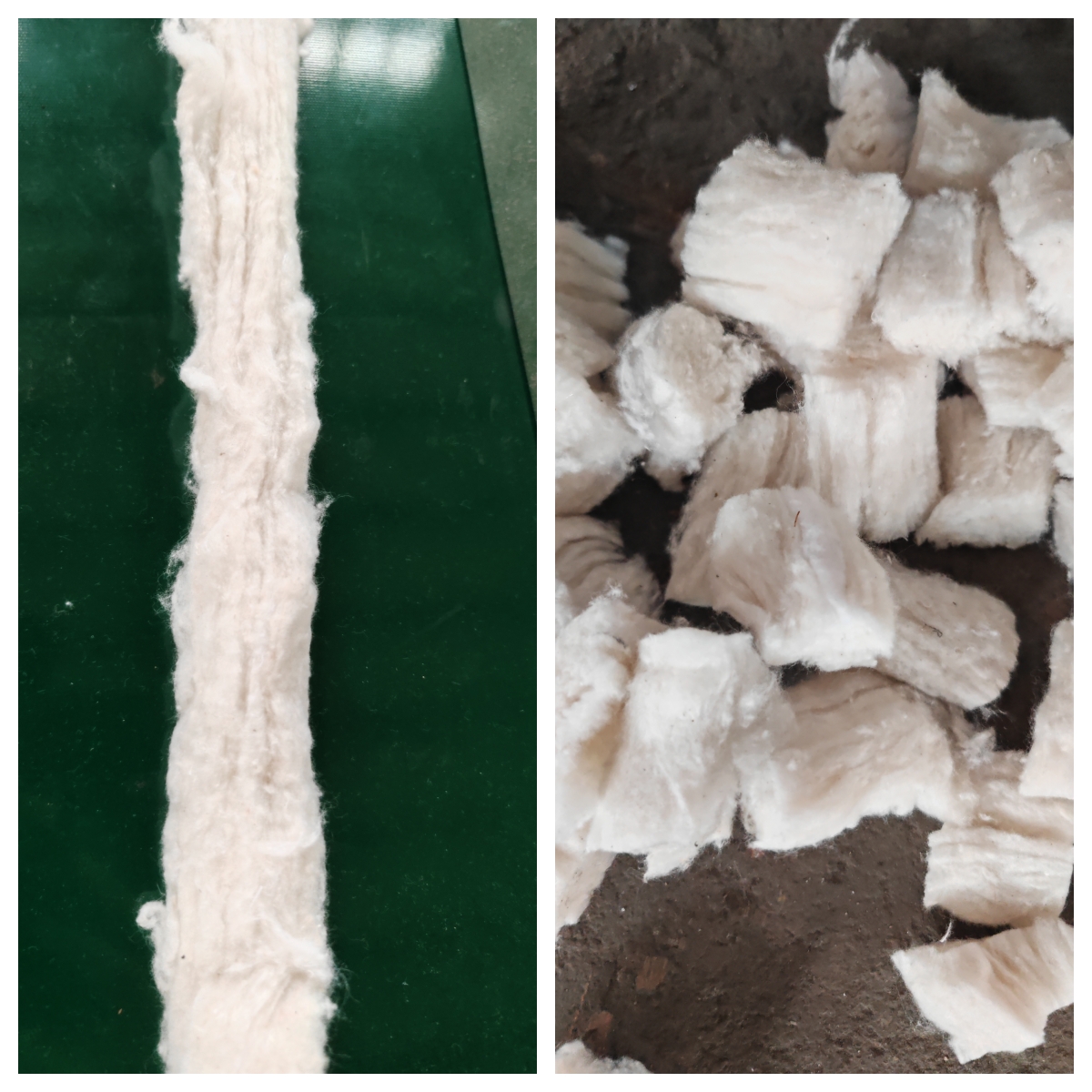 棉纤维长丝短切效果