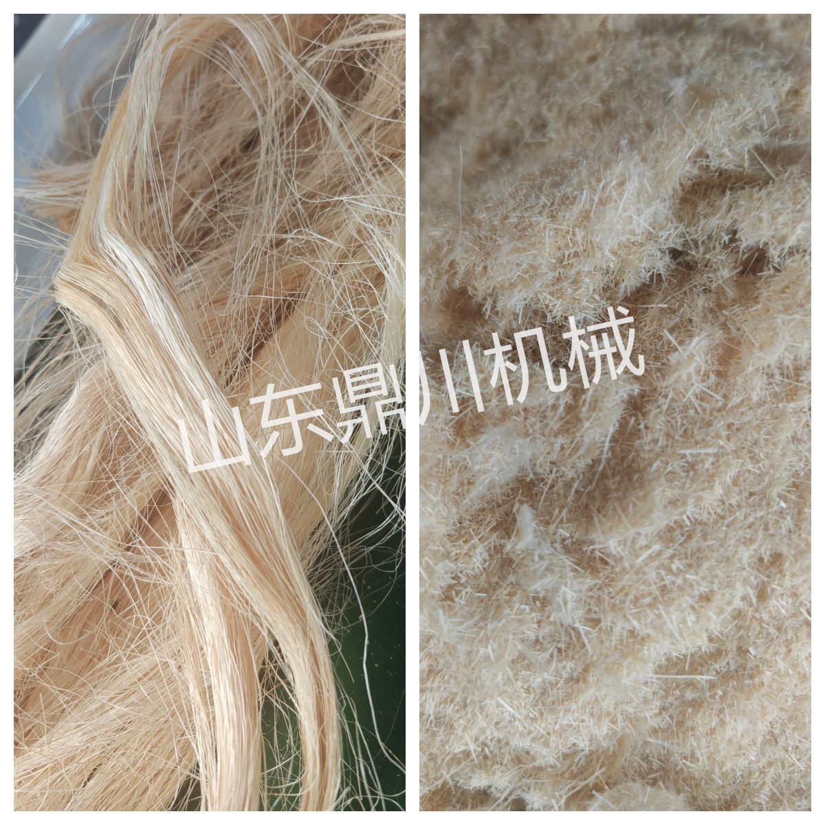 植物纤维丝切碎效果