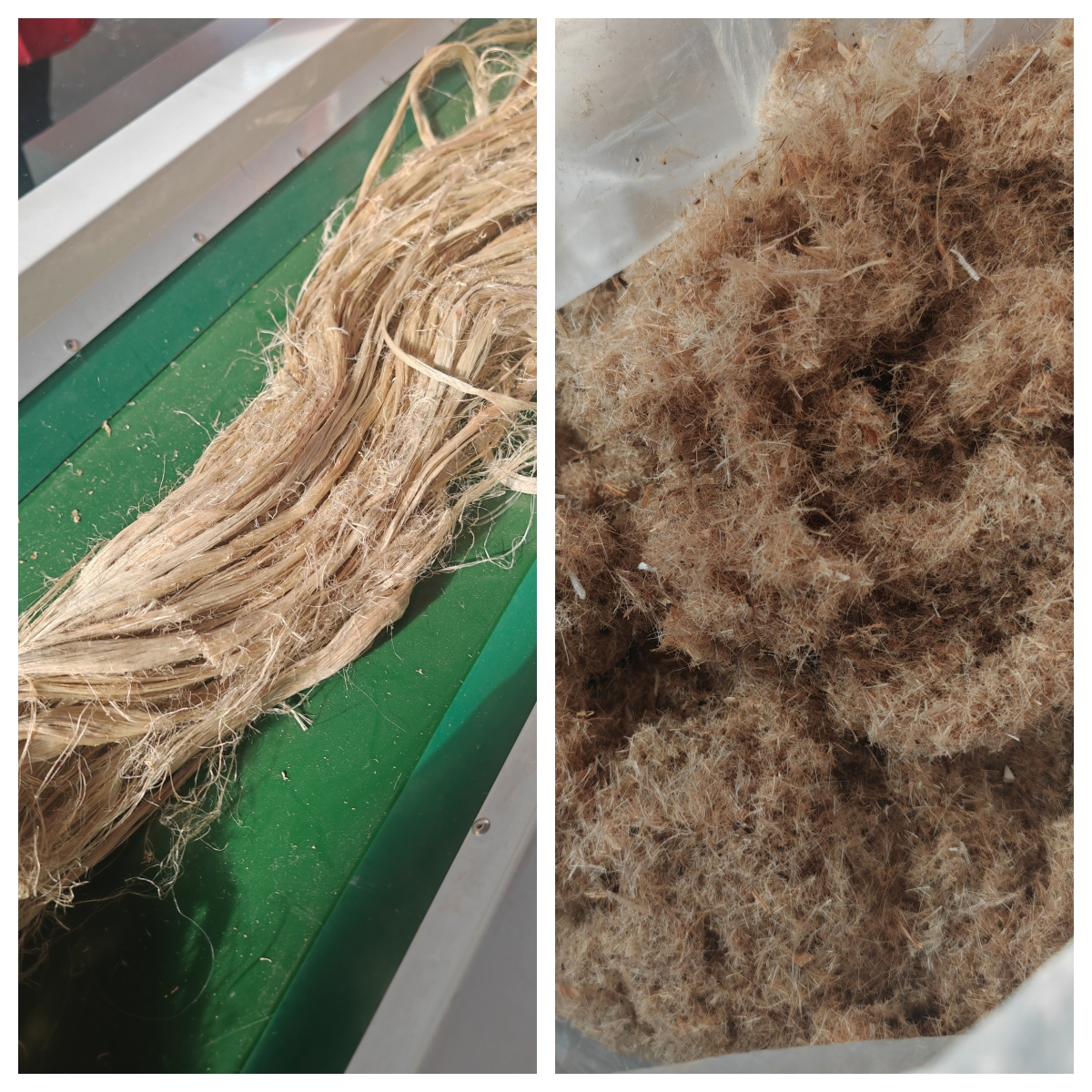 植物纤维丝粗碎效果