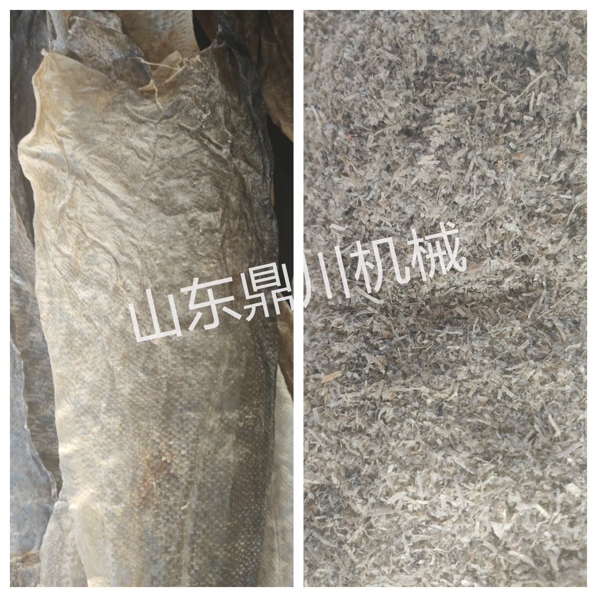 干鱼皮切碎效果