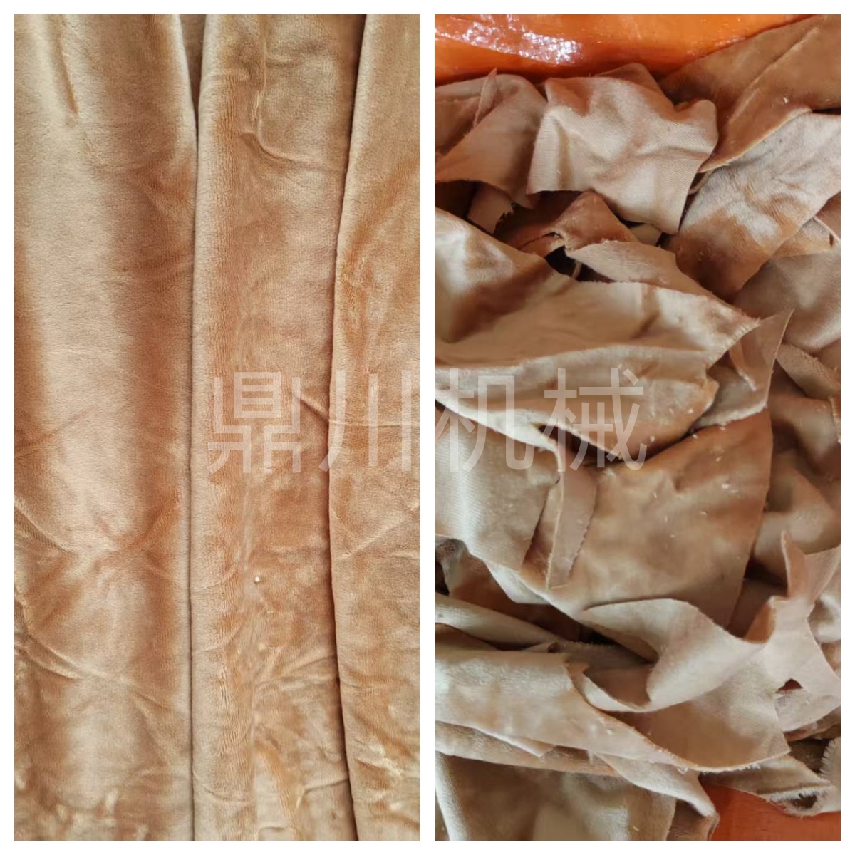 珊瑚绒毯切段对比